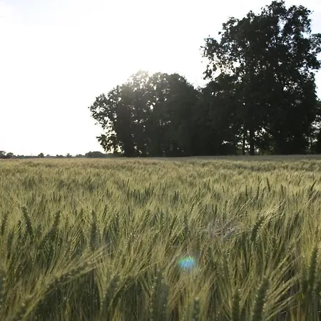 Cascina Farisengo Kır Evi Stagno Lombardo